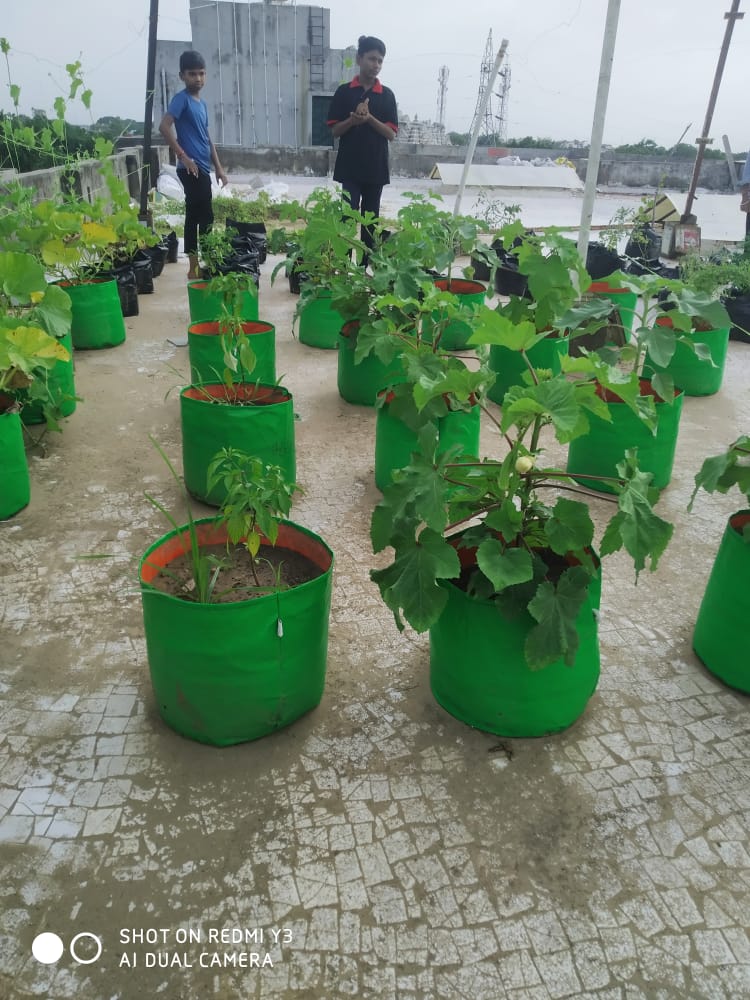 WhatsApp Image 2024 11 14 at 10.49.11 AM