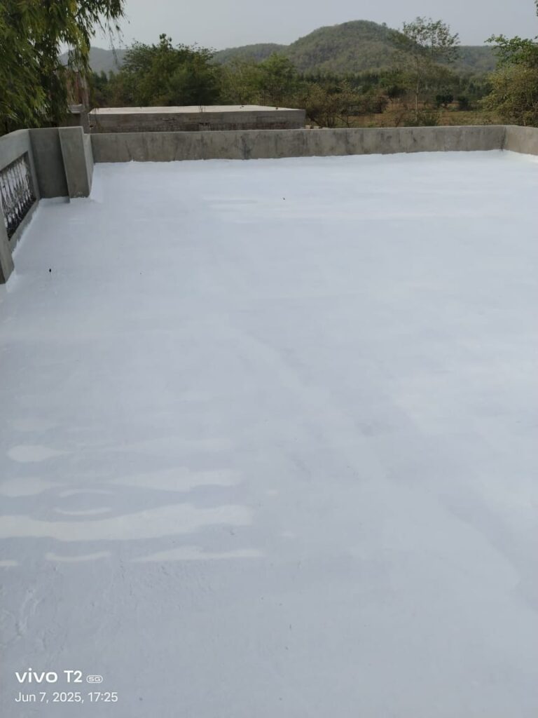 WhatsApp Image 2025 12 20 at 10.09.31 AM 3